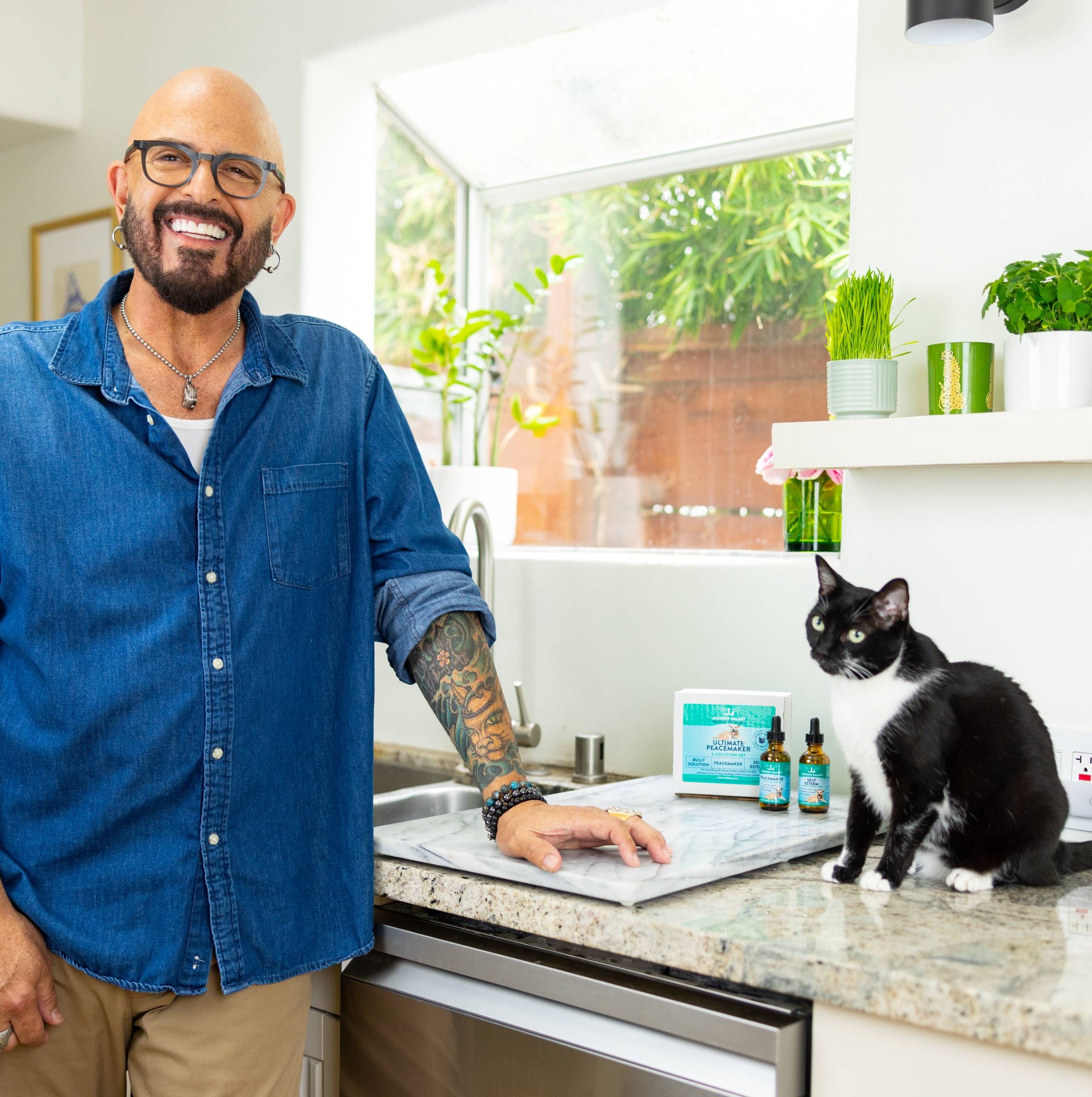 Jackson galaxy total cat best sale mojo live